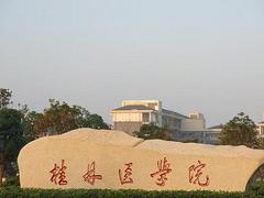 北海廣西科技大學(xué)函授——柳州哪里有提供桂林醫(yī)學(xué)院函授