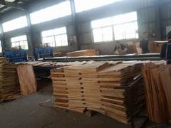 進口建筑木材_福建口碑好的莆田方木廠商推薦