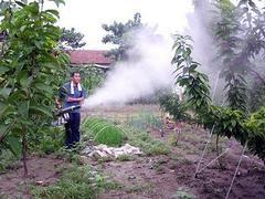 具有口碑的脈沖動力煙霧機供應商_澤鈿機械 優(yōu)質煙霧機