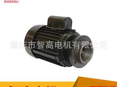 批發(fā)格蘭富系列鋁殼電機(jī)——智高電機(jī)高質(zhì)量的格蘭富鋁殼電機(jī)出售