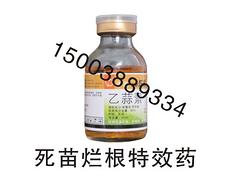 專業(yè)的殺滅高抗性薊馬藥高抗馬提供商，當(dāng)屬中果農(nóng)：楚雄薊馬一加一