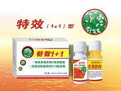 鄭州具有口碑的白粉虱供應：{tx}1+1供應商