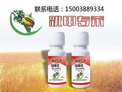鄭州優惠的靶斑病{tx}藥·廠家直銷|哪里有黃瓜靶斑病