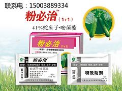 鄭州口碑好的白粉病{tx}藥粉必治1+1供應商推薦——亳州白粉病{tx}