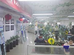 泉州專業的百度推廣推薦_永春縣網站建設