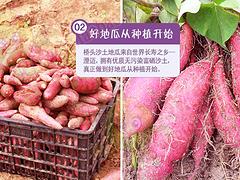 澄邁橋頭地瓜出售_海南優(yōu)惠的澄邁橋頭地瓜供應(yīng)