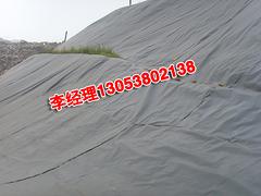 【廠家直銷(xiāo)】泰安品質(zhì)好的水產(chǎn)養(yǎng)殖土工膜_養(yǎng)殖土工膜廠家