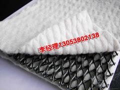 大量出售山東新品tr鈉基膨潤土防水毯|膨潤土防水毯報(bào)價(jià)