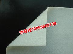 青島土工布 優(yōu)惠的復(fù)合土工布山東瑞亨建材供應(yīng)