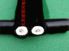 熱薦優(yōu)質(zhì)耐火電線電纜品質(zhì)保證：河北環(huán)保電纜