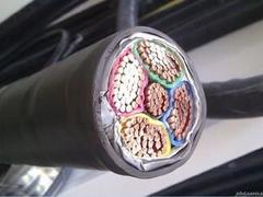 北京高質(zhì)量的塑銅線【品牌推薦】_重慶塑銅線