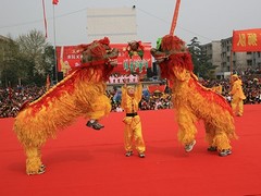 哪家公司提供優(yōu)質(zhì)的舞獅表演 上海專業(yè)舞獅團(tuán)隊(duì)