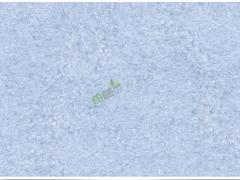 北京哪有供應(yīng)價(jià)格合理的墻衣|墻衣采購(gòu)