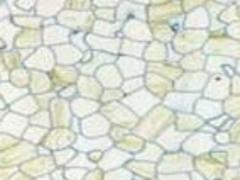 寶山環氧砂漿薄涂地坪|上海成實專業供應環氧砂漿薄涂地坪