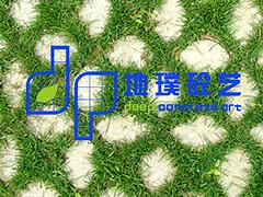 黑龍江瀝青面壓印涂裝地坪——信譽(yù)好的成都混泥土生態(tài)植草地坪批發(fā)商