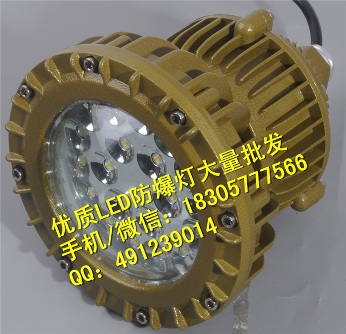 白城電廠LED防爆應(yīng)急燈40W，化工廠LED壁掛式20w