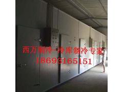 金昌冷藏柜銷售 【薦】上等冷藏柜供銷