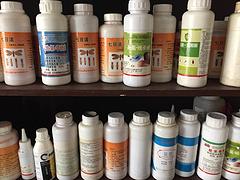 海南服務(wù)好的白蟻專業(yè)用藥公司推薦_海南白蟻防治公司哪家好