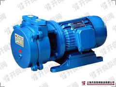 實(shí)用的SK-0.4真空泵——上海市專業(yè)的SK-0.4真空泵供應(yīng)商是哪家