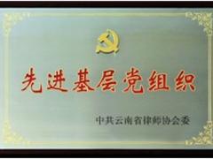 昆明信譽好的法律咨詢哪里有，專業(yè)的法律咨詢