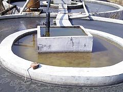 福州污泥處理設備電話_便宜的污水處理設備推薦