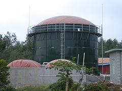 優質的沼氣發電機牌子怎么樣——廣西沼氣發電機