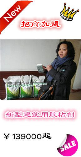 石粉塑料塑化劑設(shè)備塑料加工設(shè)備技術(shù)