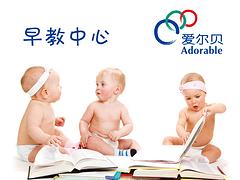 廣東資深的早教提供_湛江早教中心哪里有