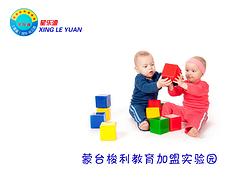 廣東專業的幼兒園，你的besz——湛江幼兒園招生價位