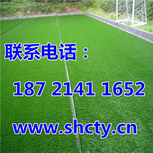 蘇州人造草坪足球場施工*人工草坪施工*尚春供應(yīng)