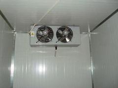 福州冷庫，福建福州冷庫設備專業供應