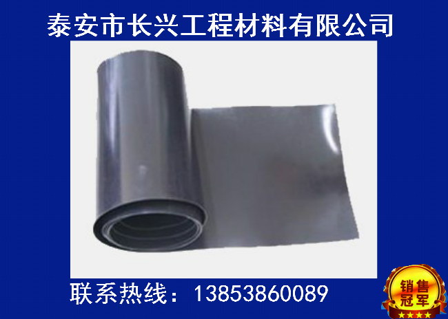 泰安哪里有供應(yīng)優(yōu)惠的HDPE聚乙烯土工膜——光面HDPE土工膜生產(chǎn)廠家供應(yīng)