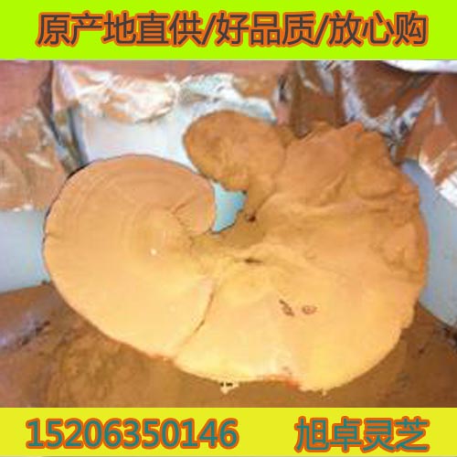 優質靈芝孢子粉 瓶裝加真空包裝 椴木破壁孢子粉 