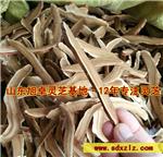 聊城赤灵芝 灵芝菌种基地直供 量大从优