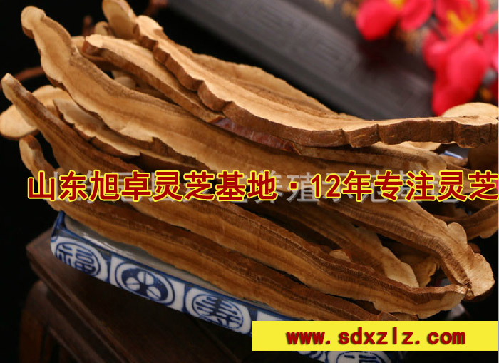 聊城赤靈芝 靈芝菌種基地直供 量大從優原始圖片2