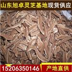 河南灵芝切片厂家直供各种规格灵芝切片 量大从优