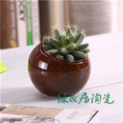 韓式小花盆直銷/上海精致韓式小花盆廠家直銷價(jià)格/綠居供
