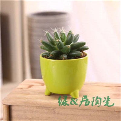 潮州創(chuàng)意花瓶/潮州手拉迷你花插/綠居供