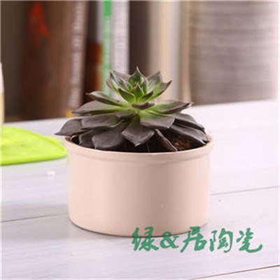 簡約小花盆報價/上海高品質簡約小花盆生產(chǎn)廠商報價合理/綠居供