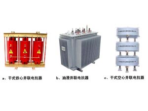 并聯(lián)電抗器專業(yè)生產(chǎn)|價格優(yōu)廉，請認準神州電器