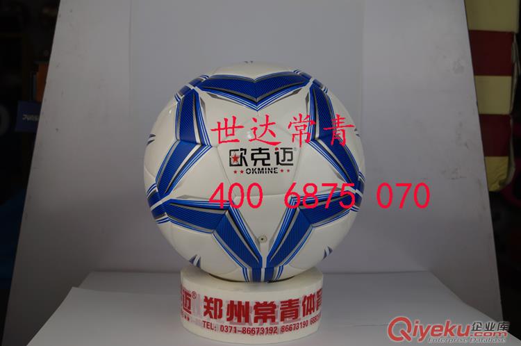 5號足球 大中小學生訓練用足球