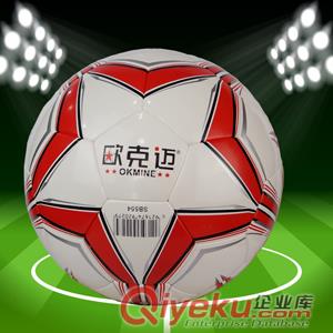 供應4號足球 小學生訓練足球 歐克邁