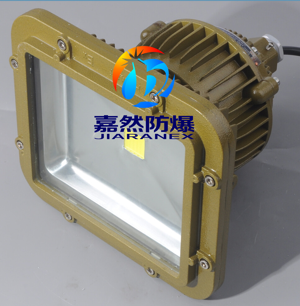 糧庫防爆燈120W，倉庫防爆泛光燈100w原始圖片3