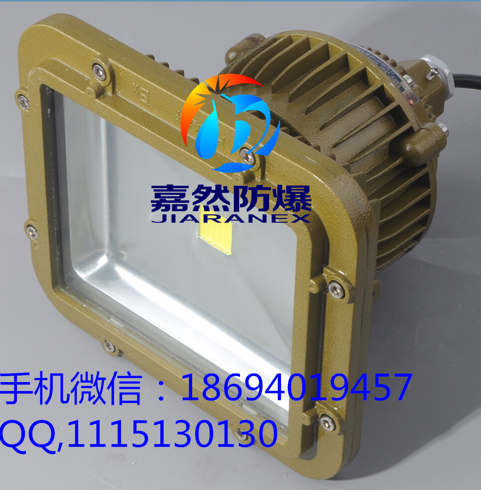70w加油led站防爆燈,糧庫Led防爆燈60w原始圖片3