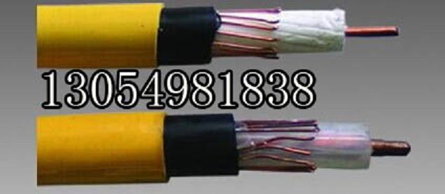 鄂爾多斯廠家直銷MSLYFVZ-75-9阻燃漏泄同軸電纜