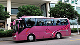 福建校車(chē)：福建信譽(yù)好的校車(chē)廠商
