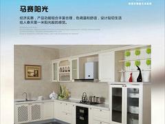 歐景樂不銹鋼廚柜專業的尊貴櫥柜系列真我本色 廣東整體廚柜