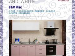 歐景樂不銹鋼廚柜·專業的尊貴櫥柜系列真我本色供應商：茶山不銹鋼櫥柜