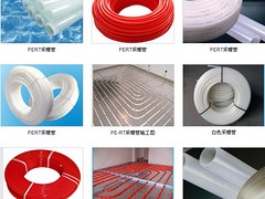 上海哪里有賣價格優(yōu)惠的PPR管材：德國潔水異徑三通哪里有賣