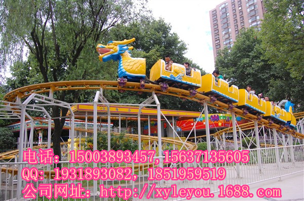 廠家直銷大型豪華滑行龍游樂設備/軌道類過山車青蟲滑車（多圖）